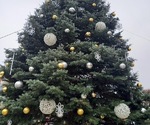 Fotografie 1 - Teplický Advent začal Vánočkou